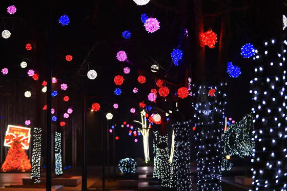 1737830999363.jpg 1737830999363.jpg