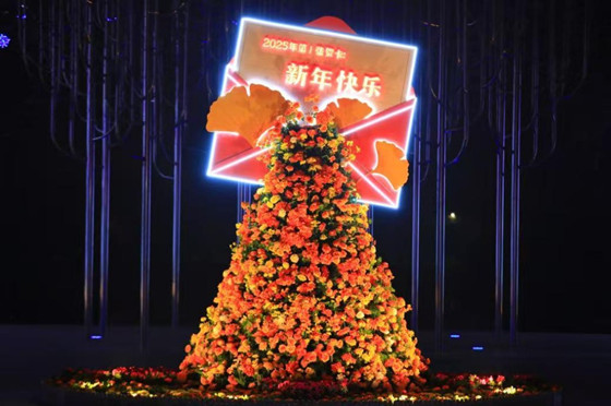 1737831118274.jpg 1737831118274.jpg