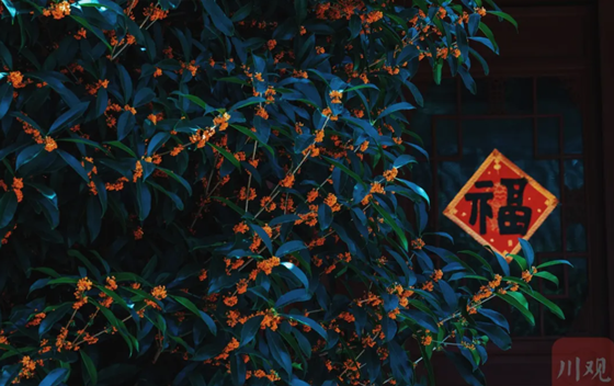 86d6ac6827da7e3249584772ea9efb1a.png 86d6ac6827da7e3249584772ea9efb1a.png