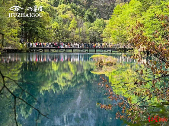 8a805c8568e12792fbeee0cab493d0d1-1760054722195.jpg 8a805c8568e12792fbeee0cab493d0d1-1760054722195.jpg