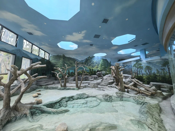 1248da98ab2d8b61d7766ceba79e947f-1761784159992.jpg 1248da98ab2d8b61d7766ceba79e947f-1761784159992.jpg