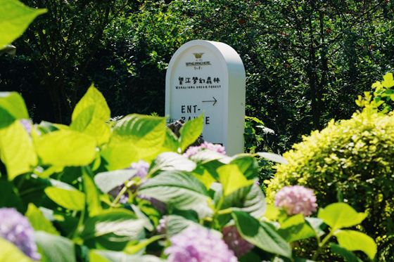 图片6.png 图片6.png