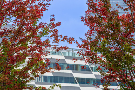 3154b5a55e86fb27ec53611172aba3bd-1761608776037.jpg 3154b5a55e86fb27ec53611172aba3bd-1761608776037.jpg