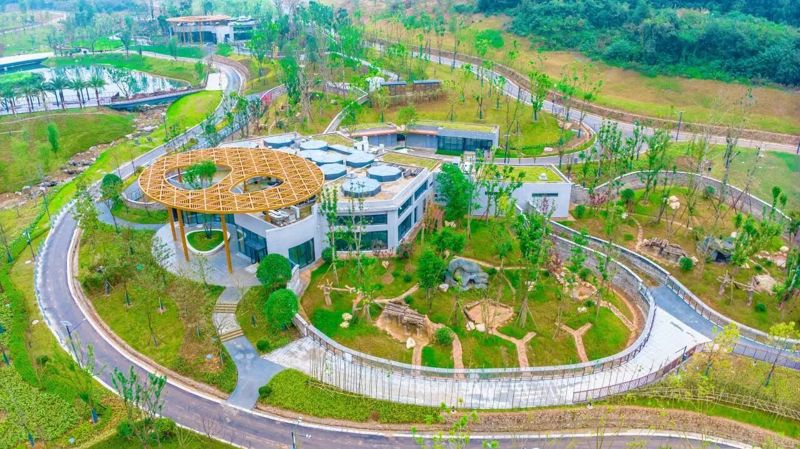 0ea8e070e96d6f6a7e3241515b431a84-1761784160114.jpg 0ea8e070e96d6f6a7e3241515b431a84-1761784160114.jpg