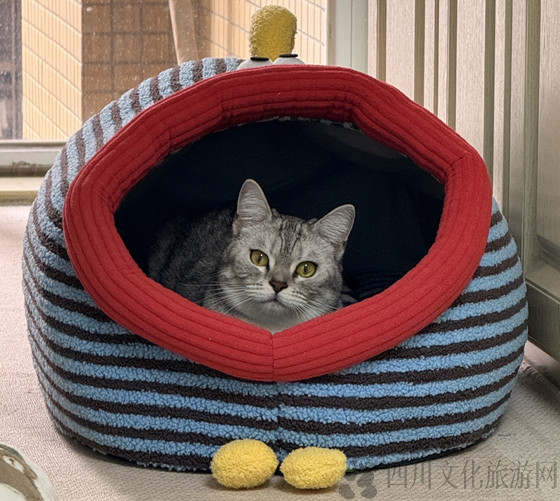 6b26bcd7cc9ea9ba2f02c8ead597d1d4-1763956339075.jpg 6b26bcd7cc9ea9ba2f02c8ead597d1d4-1763956339075.jpg