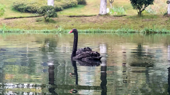 87e0cde21b1a0e8f1cafbb8db66aecee-1762127224183.jpg 87e0cde21b1a0e8f1cafbb8db66aecee-1762127224183.jpg