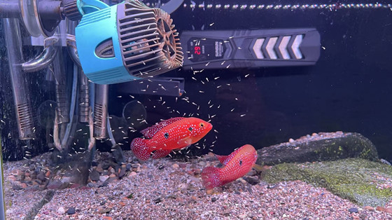 76dd548be1ac7f3025c2de529bfc1794-1763956339024.jpg 76dd548be1ac7f3025c2de529bfc1794-1763956339024.jpg