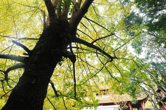 975678155b0e10885fbefaa653d6468e-1762734151903.jpg 975678155b0e10885fbefaa653d6468e-1762734151903.jpg