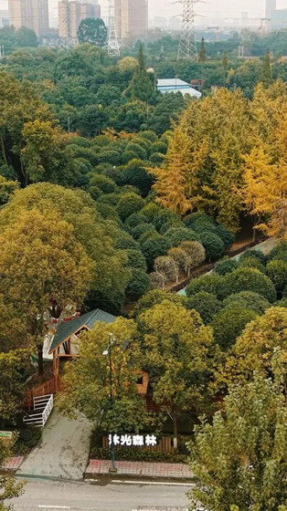 ca0082b372dd9fff6414c3419302e34f-1763296823982.jpg ca0082b372dd9fff6414c3419302e34f-1763296823982.jpg