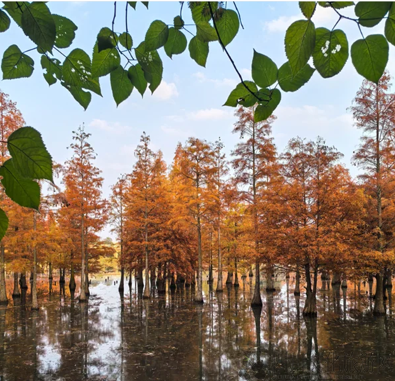 aeb10a730c36cfb4c27435cb45dfd221.png aeb10a730c36cfb4c27435cb45dfd221.png