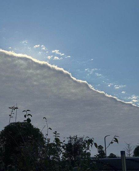 12b442335a7265f75466da43740132b9-1763684209770.jpg 12b442335a7265f75466da43740132b9-1763684209770.jpg