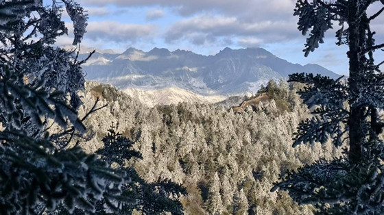 ca5a1233c4f2401ab412fa6bb17782491763282000774.jpg ca5a1233c4f2401ab412fa6bb17782491763282000774.jpg