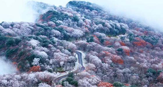 d33d02fd04eea20a320c187af6a563a2.png d33d02fd04eea20a320c187af6a563a2.png