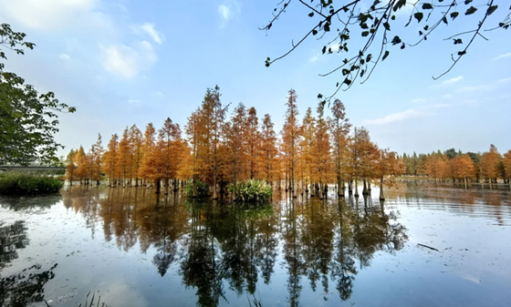 07d3cb639c3c4cfc222ab39f4af95b8e.png 07d3cb639c3c4cfc222ab39f4af95b8e.png