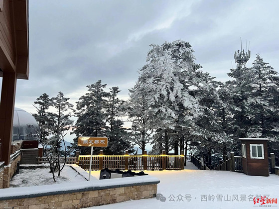 b80b3d7f69ed68c4e6e2f468561d34c0-1764040662103.jpg b80b3d7f69ed68c4e6e2f468561d34c0-1764040662103.jpg