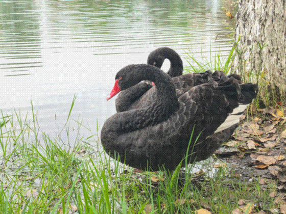 50fe919926a9a89823fc28827a37a04b-1762127224373.jpg 50fe919926a9a89823fc28827a37a04b-1762127224373.jpg