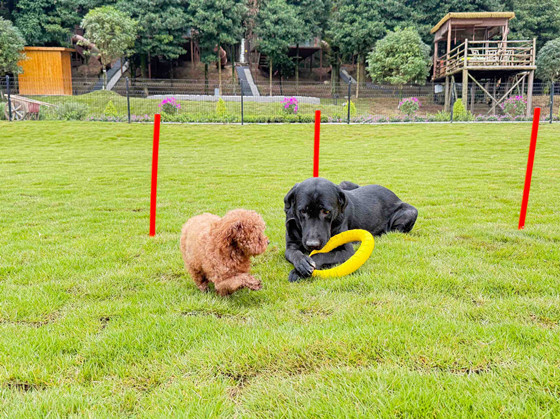 eee6f4b64cf20dd02044c5bf5a4ffa41-1762444433990.jpg eee6f4b64cf20dd02044c5bf5a4ffa41-1762444433990.jpg