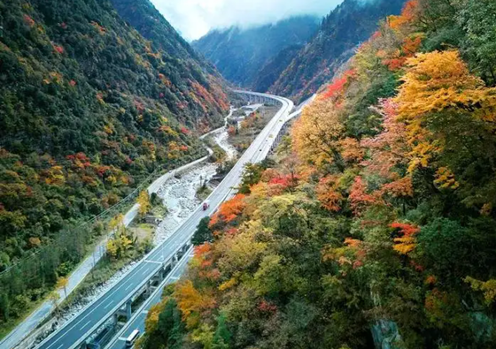 00ac8c04d118ba3f1ef41aae10ee1086.png 00ac8c04d118ba3f1ef41aae10ee1086.png