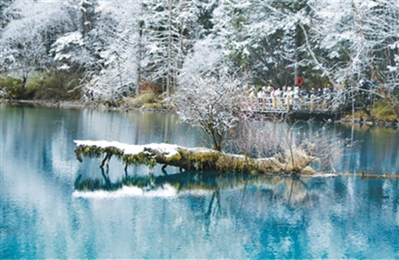 e95b81b4-cbfe-407b-a995-2cced0712c99.jpg e95b81b4-cbfe-407b-a995-2cced0712c99.jpg