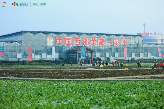 微信图片_20251129211401_1075_18.jpg 微信图片_20251129211401_1075_18.jpg