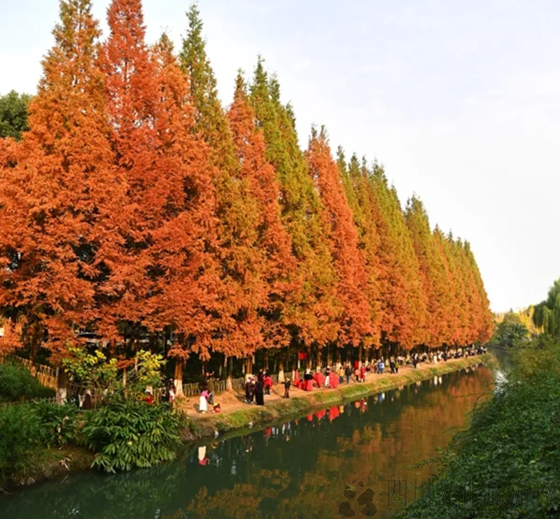 9813a8a120701fae4807110ef0bb4fcd.png 9813a8a120701fae4807110ef0bb4fcd.png