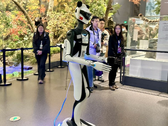 6-20251203092724708.jpg 6-20251203092724708.jpg