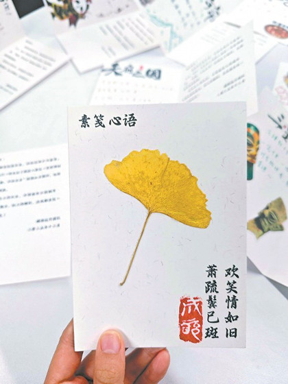 4235437369352019798.jpg 4235437369352019798.jpg