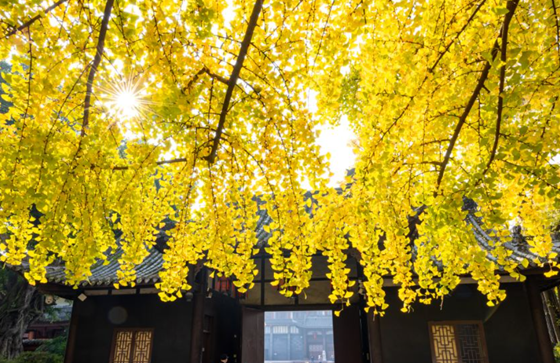 0476037f90bae4a8ab03ff600bcc58be.png 0476037f90bae4a8ab03ff600bcc58be.png