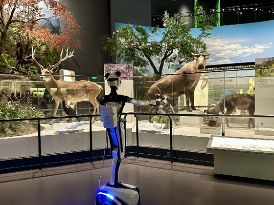 7-20251203092736281.jpg 7-20251203092736281.jpg