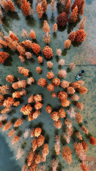 b403b2b425cb44c4add06632b85dcea1.jpg b403b2b425cb44c4add06632b85dcea1.jpg