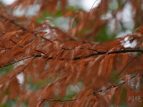 89577fa925964840b21f8ec002791836.jpg 89577fa925964840b21f8ec002791836.jpg