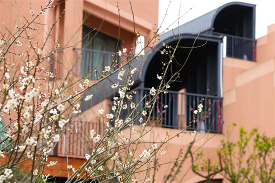 1739246765338.jpg 1739246765338.jpg