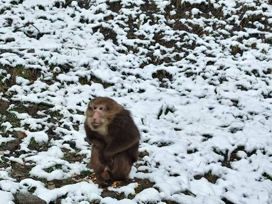 1740493972231.jpg 1740493972231.jpg