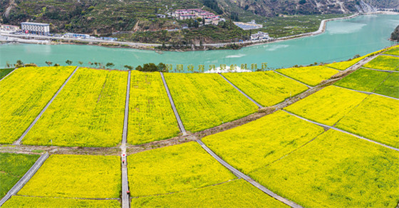 1740574061561.jpg 1740574061561.jpg