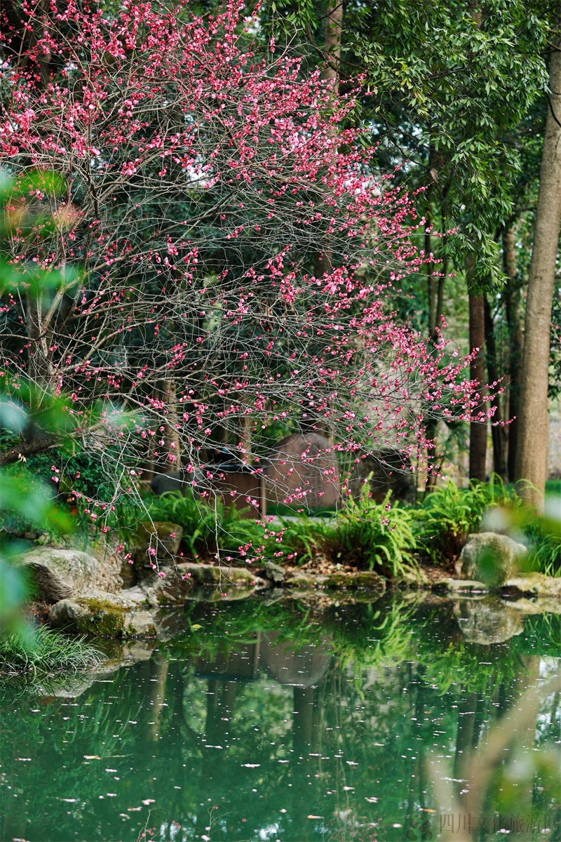 微信图片_20250203162133.jpg 微信图片_20250203162133.jpg