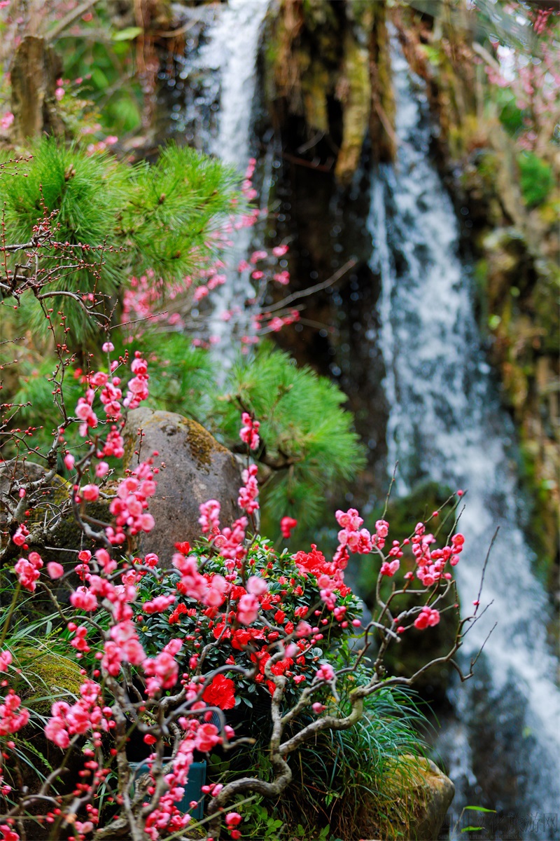 微信图片_20250203162138.jpg 微信图片_20250203162138.jpg