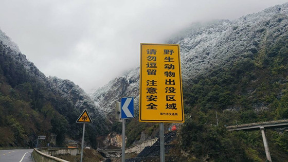 1740493827046.jpg 1740493827046.jpg