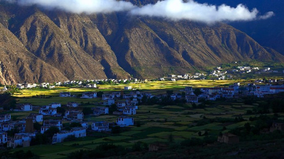 2-20250224104623358.jpg 2-20250224104623358.jpg