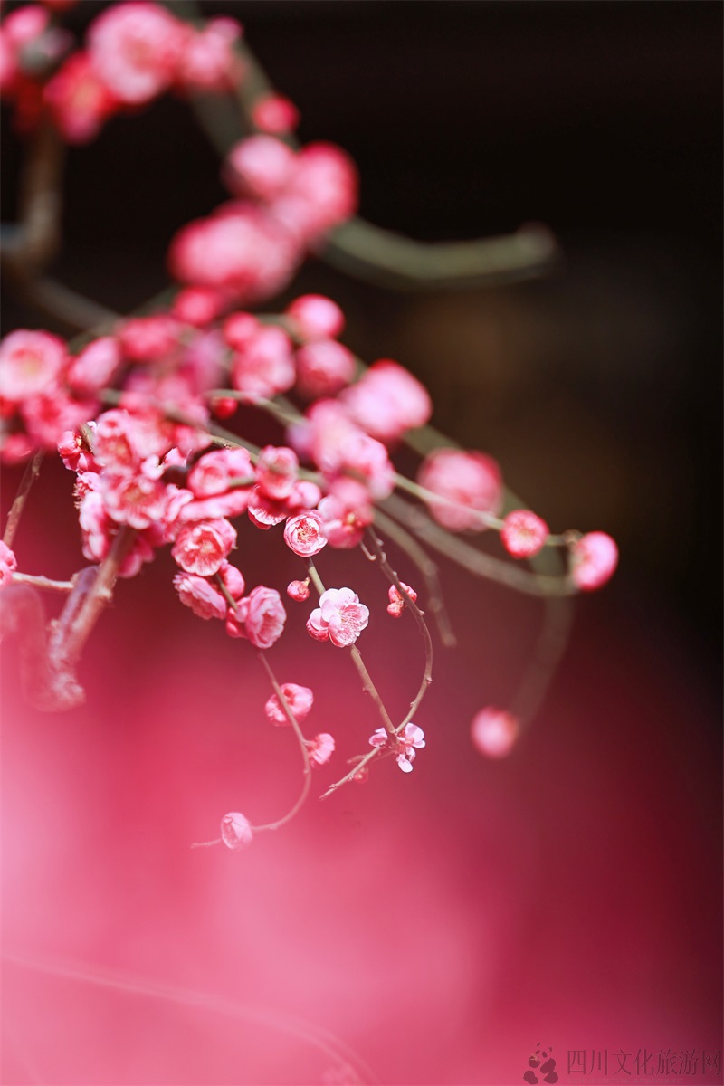 微信图片_20250203162151.jpg 微信图片_20250203162151.jpg