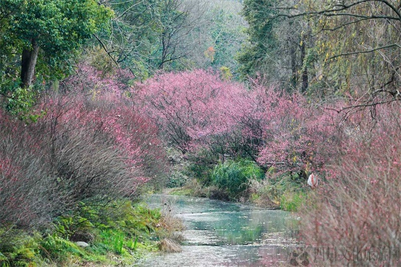 微信图片_20250203162128.jpg 微信图片_20250203162128.jpg