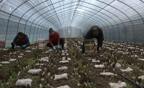 1740103616454.png 1740103616454.png