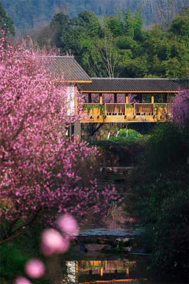 1739591094603.jpg 1739591094603.jpg