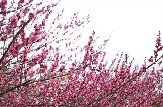 1739246806069.png 1739246806069.png