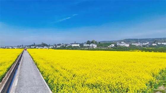 1741076413003.jpg 1741076413003.jpg