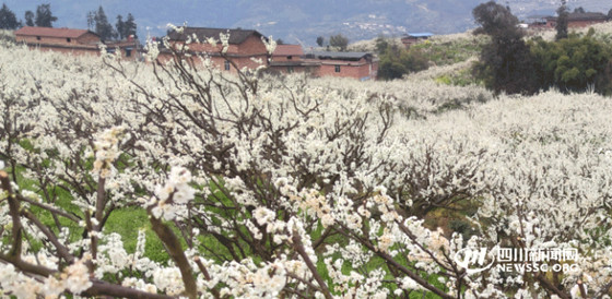 1742686855978.jpg 1742686855978.jpg