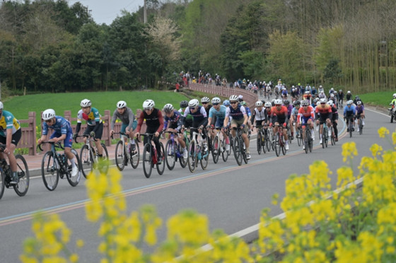 1742180842367.jpg 1742180842367.jpg