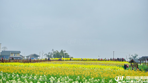 1741495045632.jpg 1741495045632.jpg