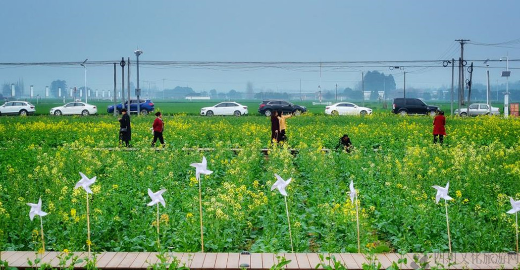 1740910732772.jpg 1740910732772.jpg