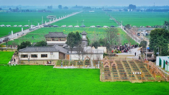 1740910732382.jpg 1740910732382.jpg