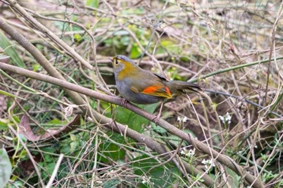 1741048247855.jpg 1741048247855.jpg